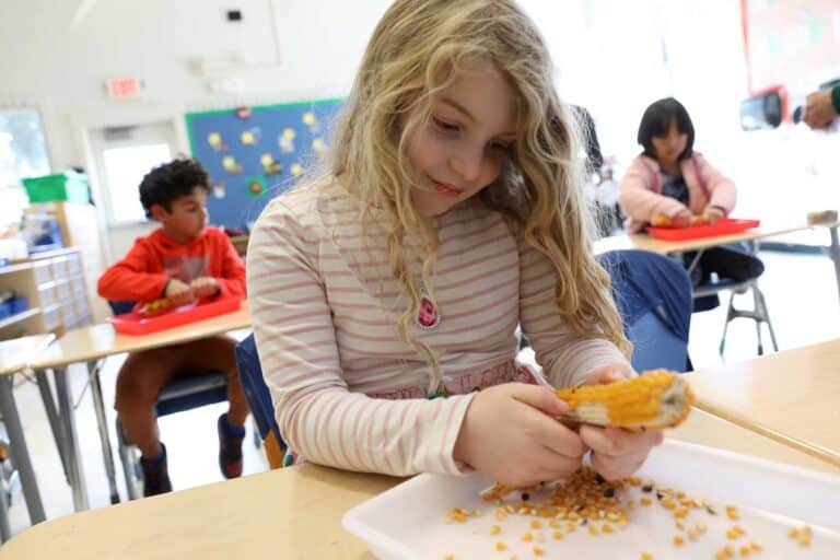 A student strips a corn cob