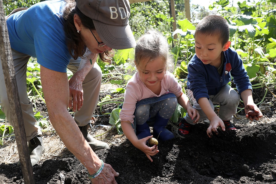 Pre-K Garden